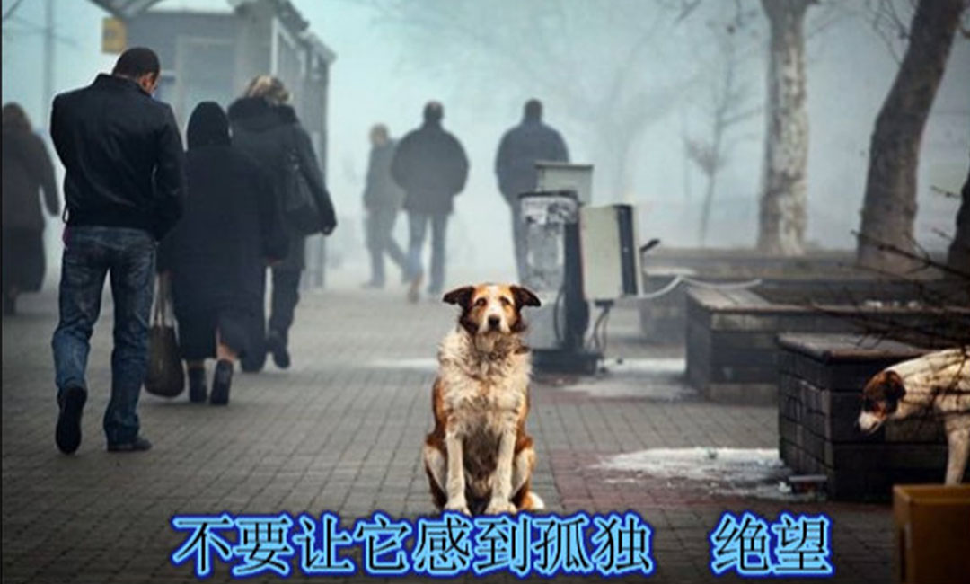 五指山五指山爱影圈微博微信转发案例